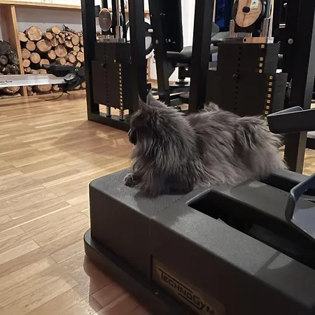 In With Swimming Pool Casa vacanze