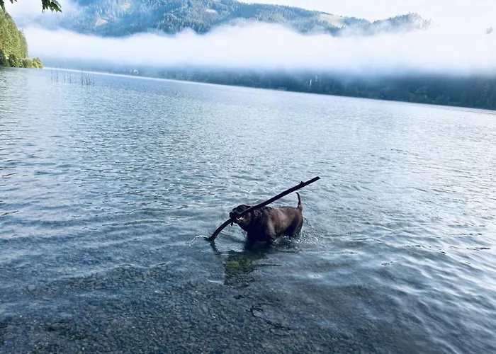 Vakantiehuis In With Swimming Pool Lackenhof
