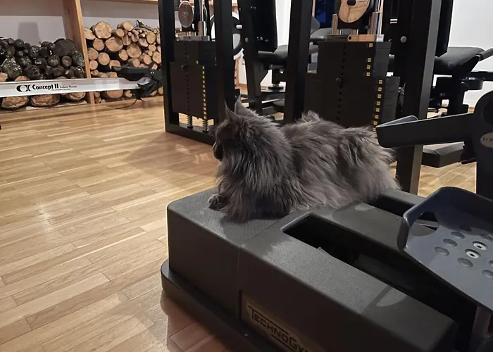 In With Swimming Pool Vakantiehuis